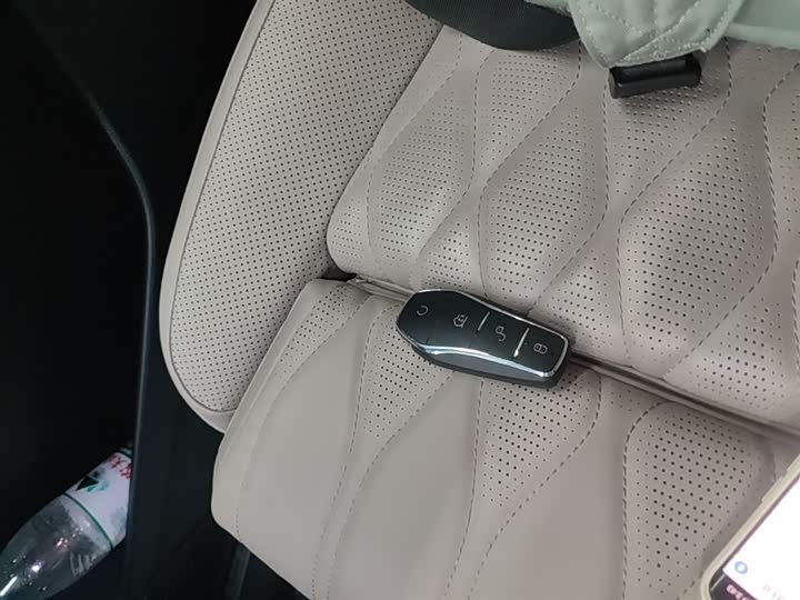 Photo 9 - BYD Tang Hybrid/EV