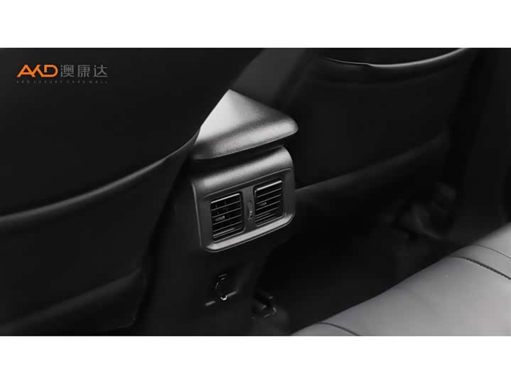 Toyota Wildlander 2024 2024款 2.0L CVT两驱领先版