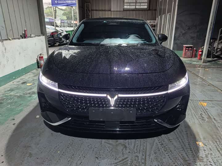 Voyah Passion 2024 2024款 PHEV 四驱超长续航旗舰版