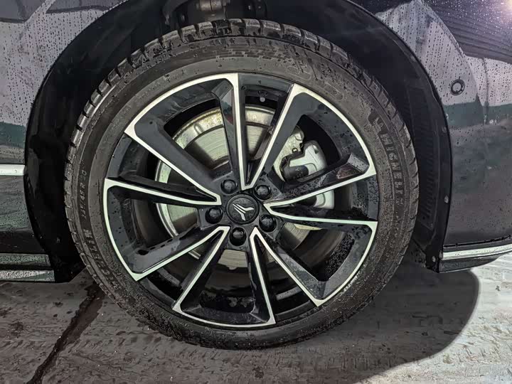 Voyah Passion 2024 2024款 PHEV 四驱超长续航旗舰版