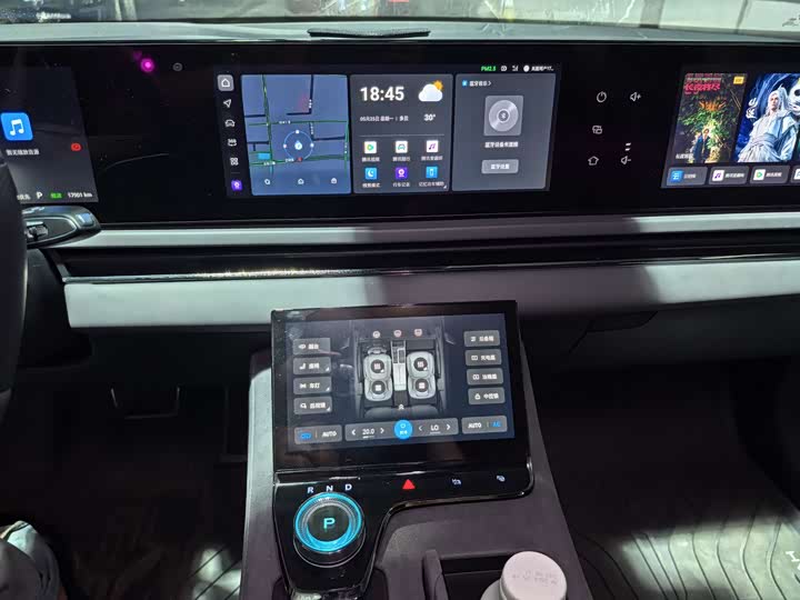 Voyah Passion 2024 2024款 PHEV 四驱超长续航旗舰版