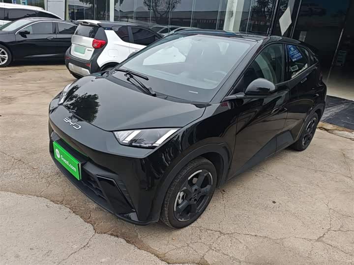 Zdjęcie 1 - BYD Seagull