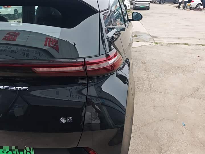 Zdjęcie 7 - BYD Seagull