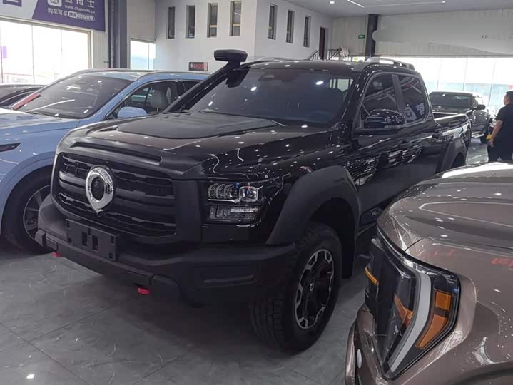 Great Wall Shanhai Poer Hybrid 2025 2025款 Hi4-T 性能版