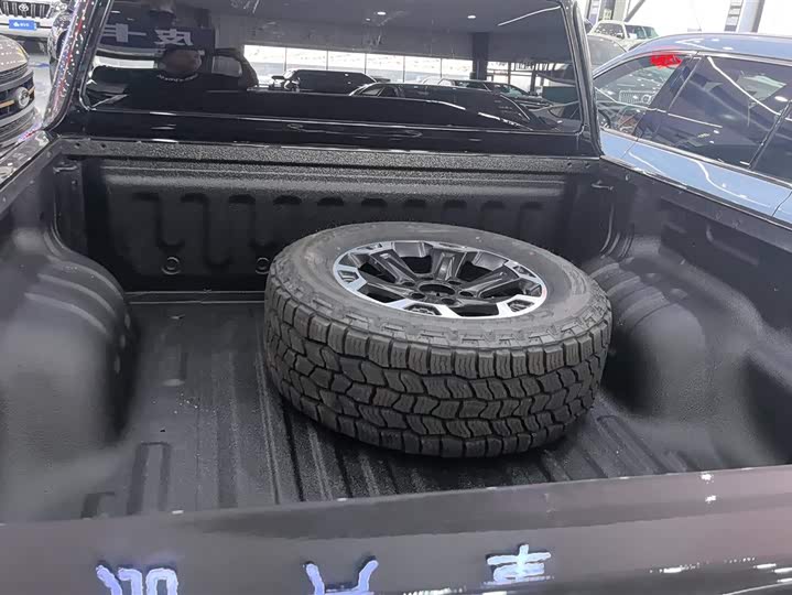 Great Wall Shanhai Poer Hybrid 2025 2025款 Hi4-T 性能版
