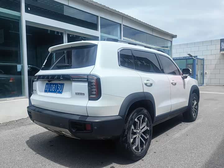 Фото 4 - Haval Dargo