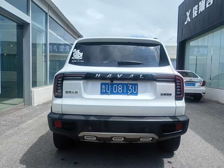 Фото 5 - Haval Dargo