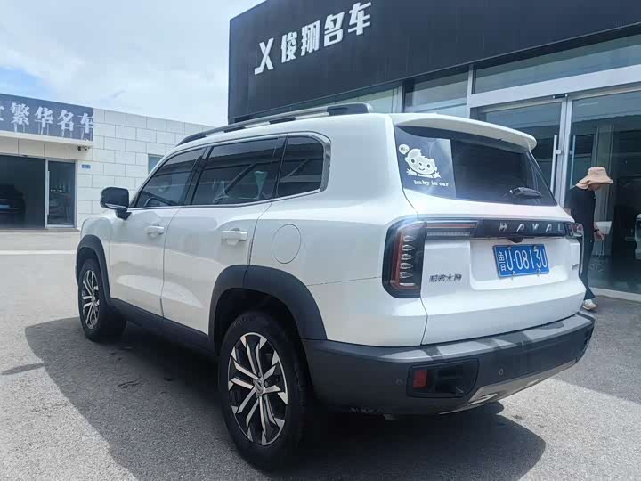 Фото 6 - Haval Dargo