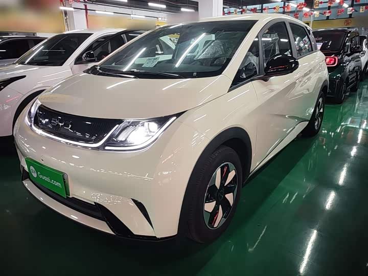 BYD Dolphin 2025 2025款 420km 自由版