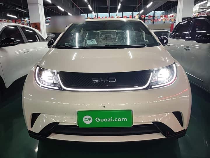BYD Dolphin 2025 2025款 420km 自由版