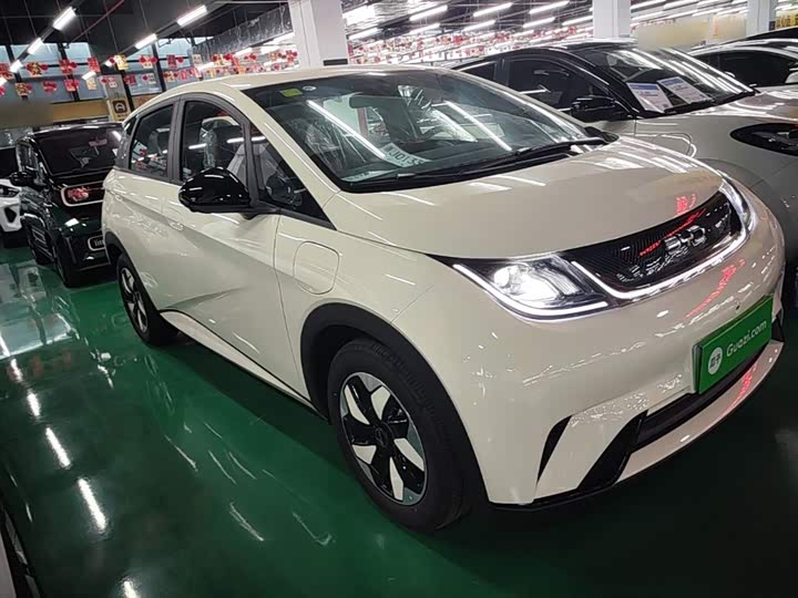 BYD Dolphin 2025 2025款 420km 自由版