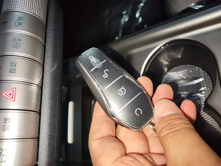BYD Dolphin 2025 2025款 420km 自由版