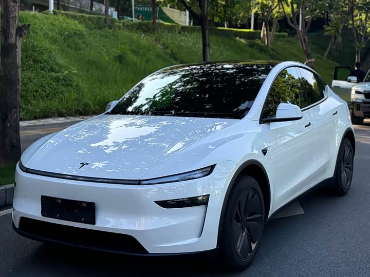 Tesla Model Y 2026 2026款 长续航后轮驱动版
