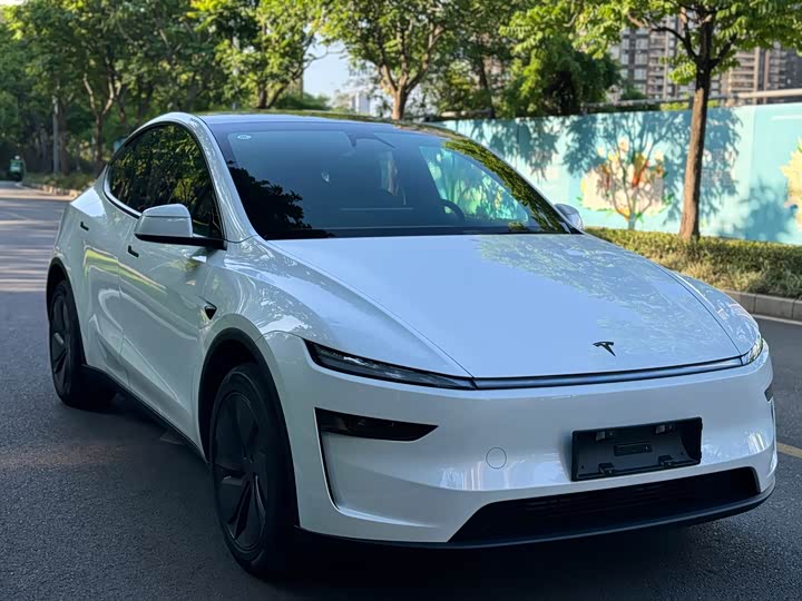 Tesla Model Y 2026 2026款 长续航后轮驱动版