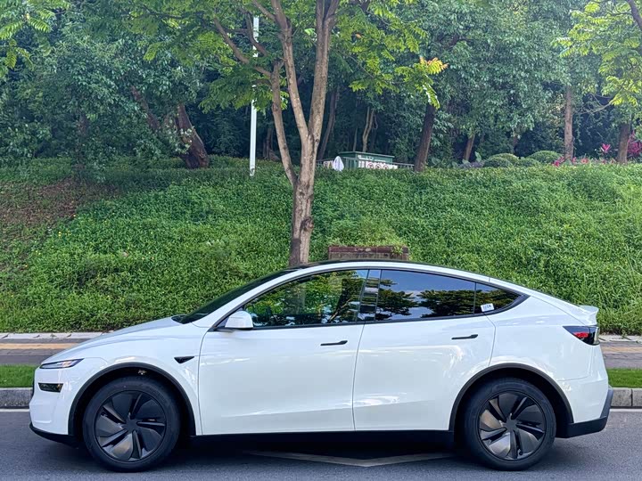 Tesla Model Y 2026 2026款 长续航后轮驱动版
