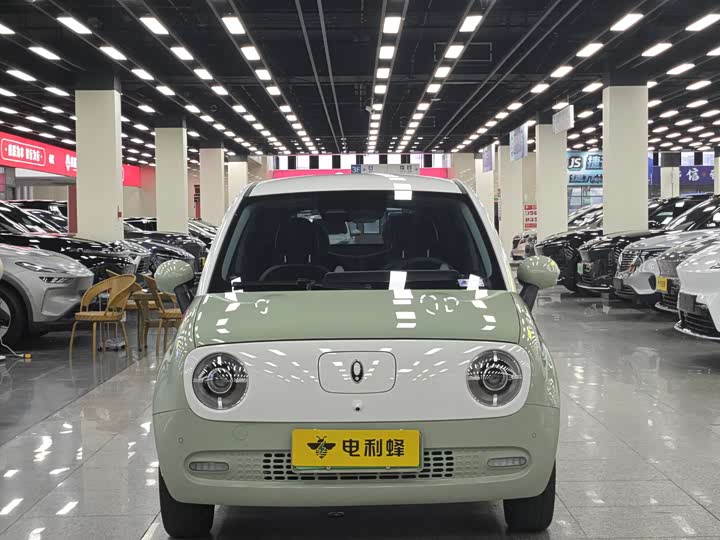 Ora Black Cat 2022 2022款 405km 长续航型 三元锂