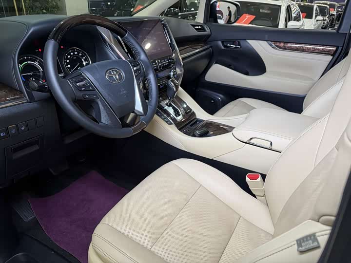 Фото 8 - Toyota Alphard
