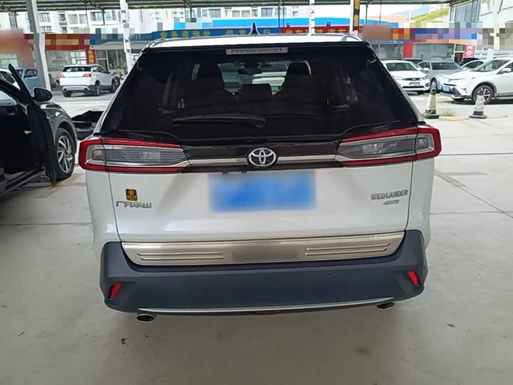 Фото 6 - Toyota Wildlander