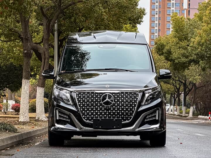 Mercedes-Benz V-Class 2022 2022款 V 260 L 长轴距豪华版