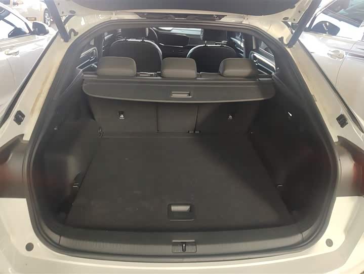 Фото 4 - Volkswagen Tayron X