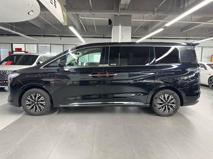 Hongqi HQ9 Hybrid 2024 2024款 2.0T 四驱商务版