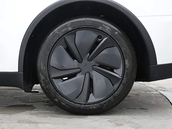 Tesla Model Y 2026 2026款 后轮驱动版