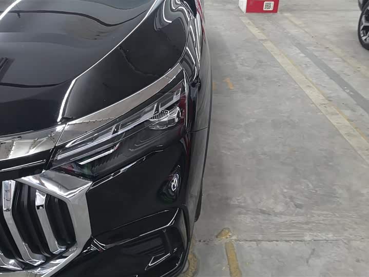 Geely Okavango L 2024 2024款 2.0T DCT尊贵型