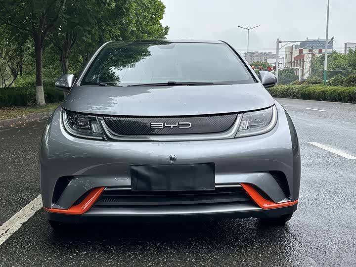 Фото 2 - BYD Dolphin