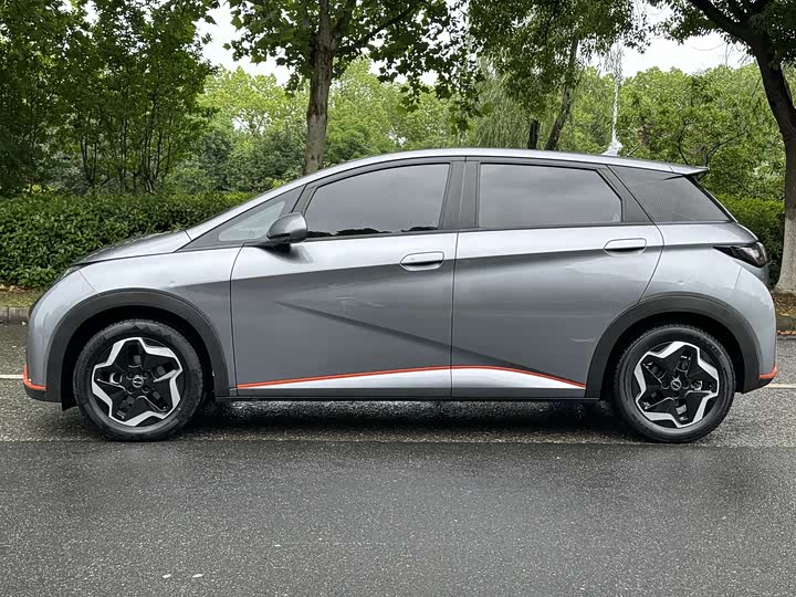 Фото 3 - BYD Dolphin