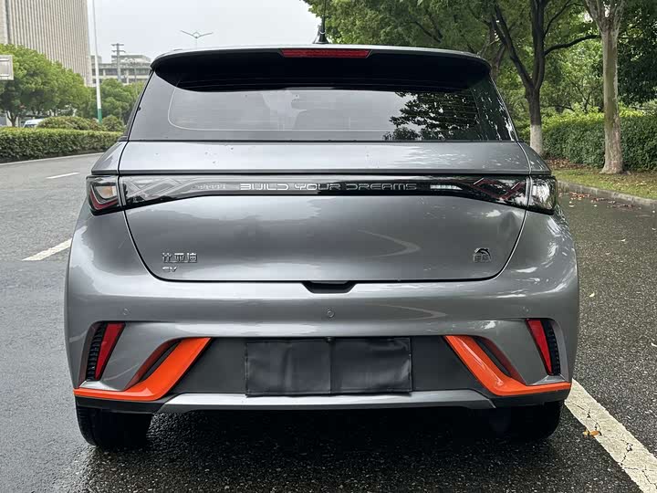 Фото 4 - BYD Dolphin