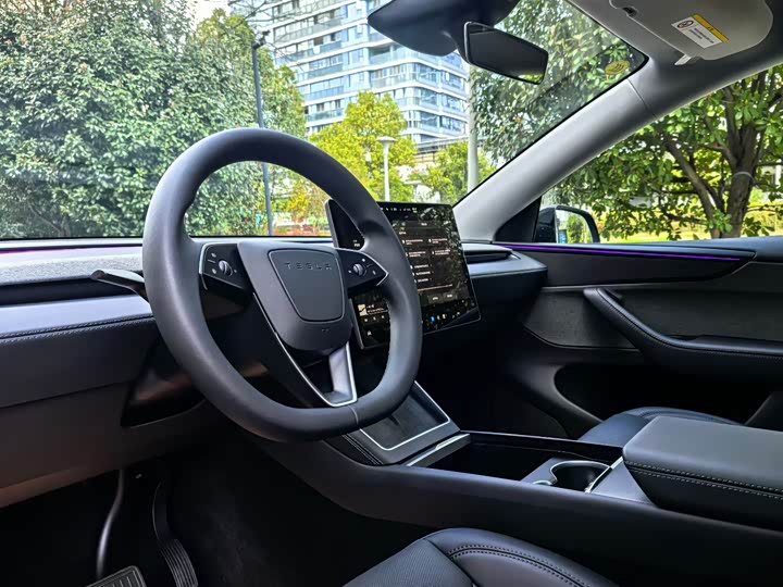 Tesla Model Y 2026 2026款 改款 长续航后轮驱动版
