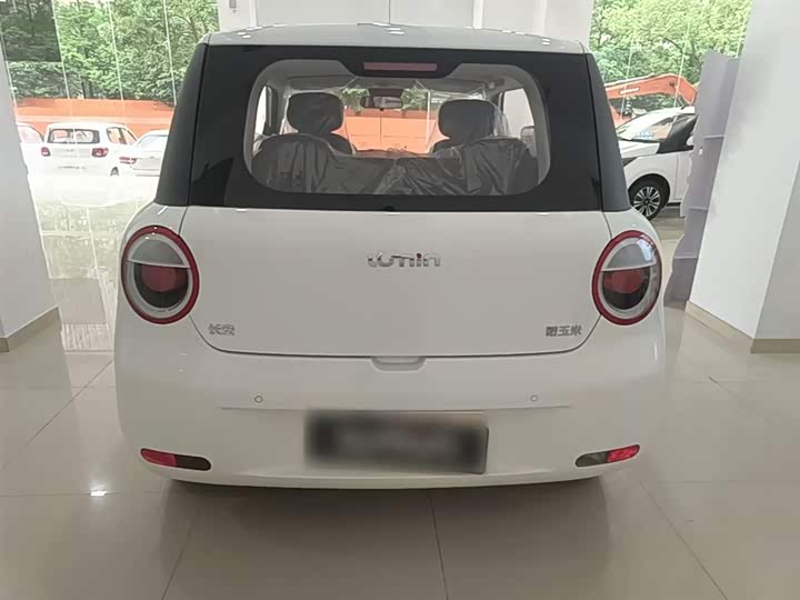 Фото 6 - Changan Qiyuan (Nevo) Lumin