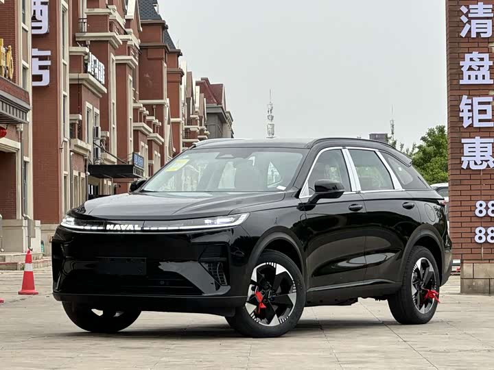 Photo 1 - Haval Ruge Max