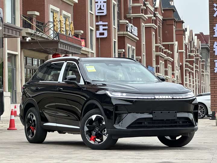 Photo 3 - Haval Ruge Max