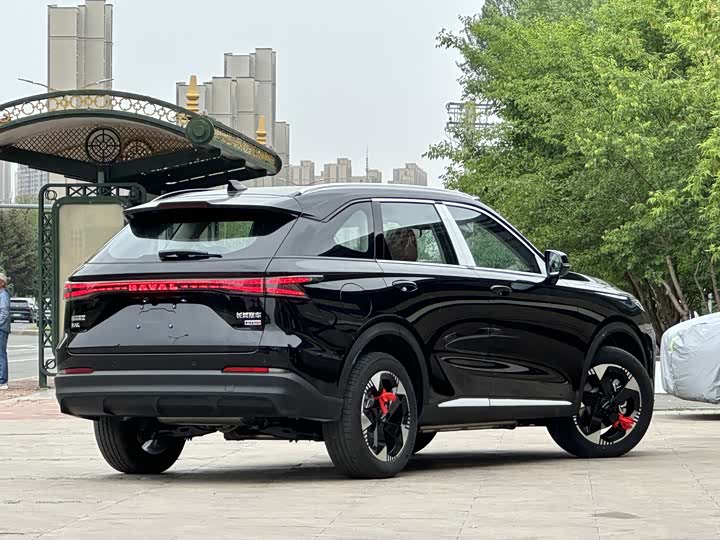 Photo 7 - Haval Ruge Max