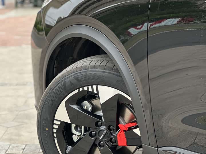 Photo 9 - Haval Ruge Max