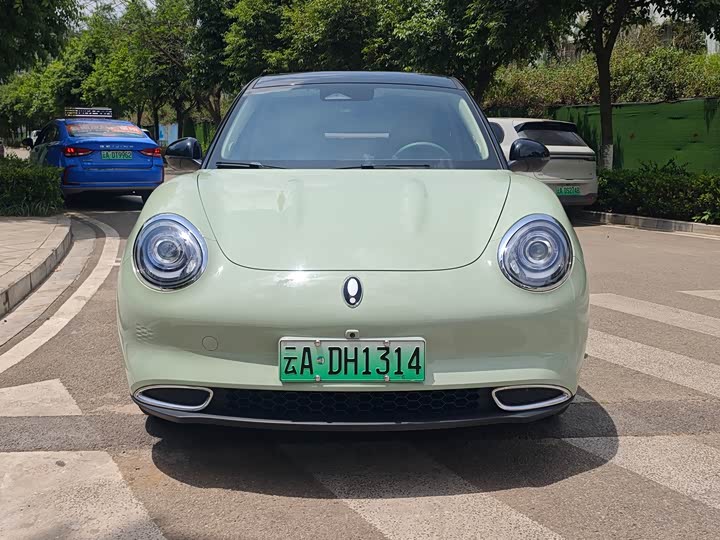 Ora Good Cat (03) 2024 2024款 401km 豪华型