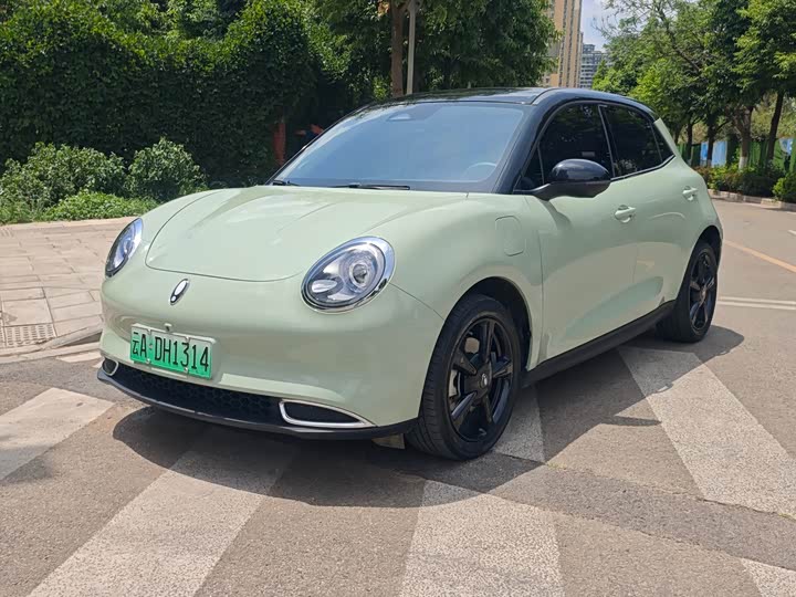 Ora Good Cat (03) 2024 2024款 401km 豪华型