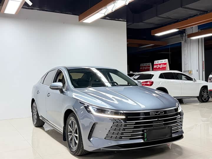 2024 BYD Destroyer 05