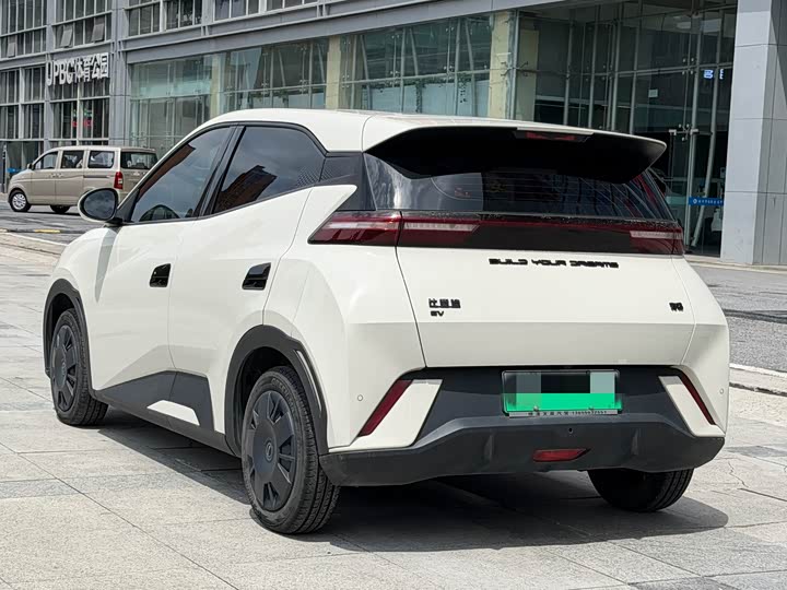 Zdjęcie 5 - BYD Seagull