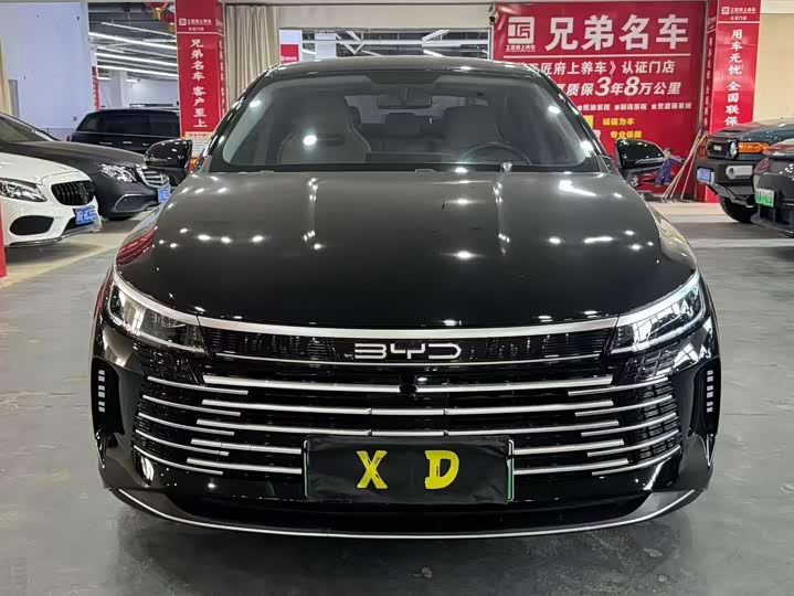 2024 BYD Destroyer 05