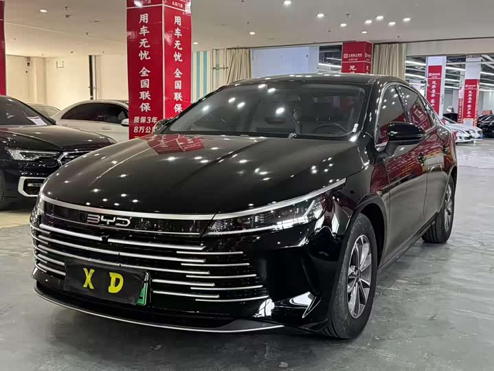 2024 BYD Destroyer 05