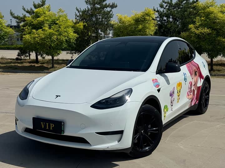 Tesla Model Y 2022 2022款 改款 后轮驱动版