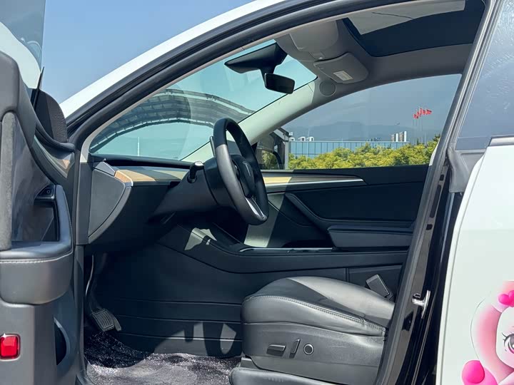 Tesla Model Y 2022 2022款 改款 后轮驱动版