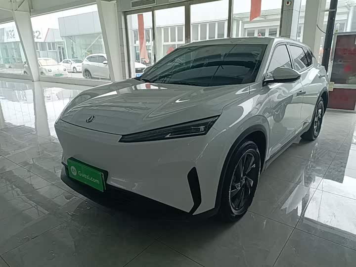 Dongfeng Aeolus Sky EV01 2024 2024款 530km PRO