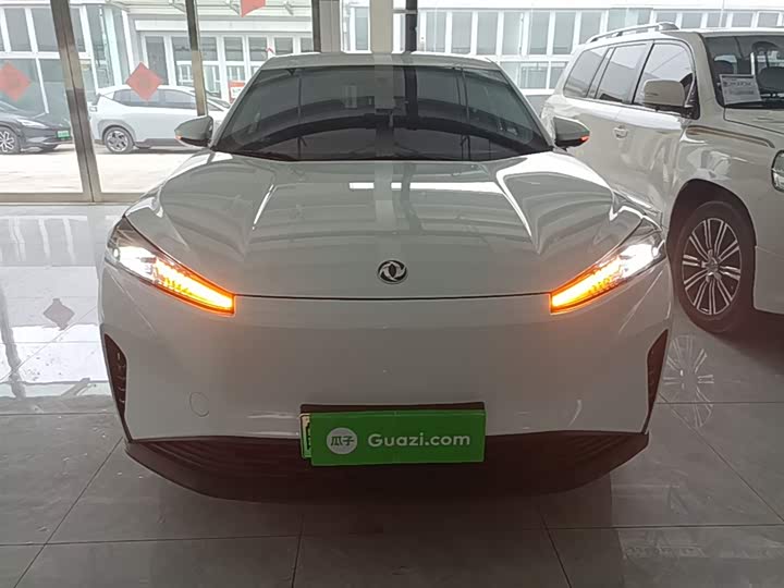 Dongfeng Aeolus Sky EV01 2024 2024款 530km PRO