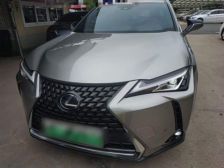 Lexus UX Hybrid 2020 2020款 300e 纯·享版