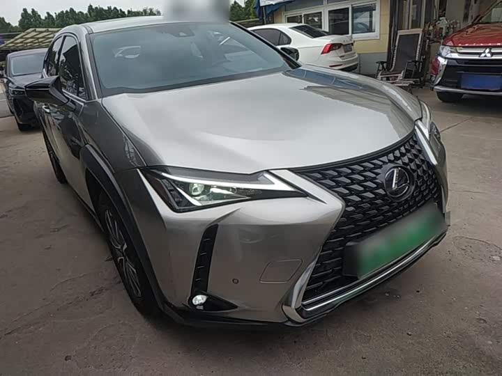 Lexus UX Hybrid 2020 2020款 300e 纯·享版