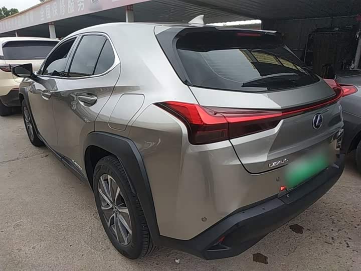 Lexus UX Hybrid 2020 2020款 300e 纯·享版