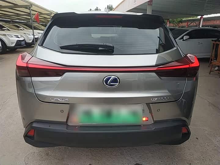 Lexus UX Hybrid 2020 2020款 300e 纯·享版